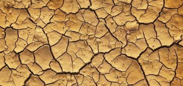 Dlaczego potrzebujemy nawilżacza i oczyszczacza powietrza?